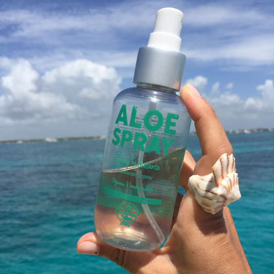 ALOE SPRAY, spray hidratante